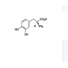 (2S) -2-amino-3- (3,4-dihydroxyphényl) acide propanoïque